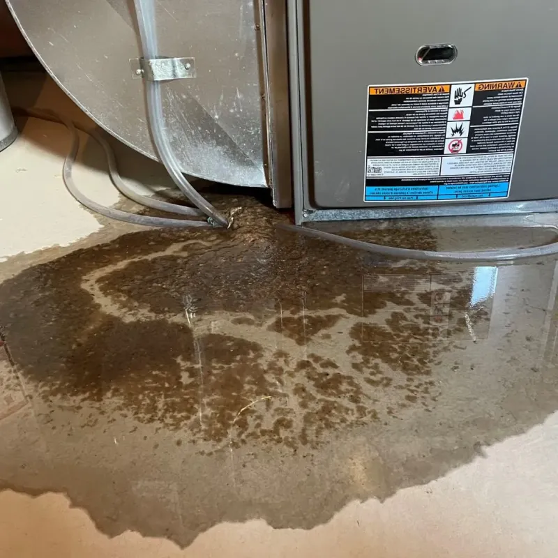 Pipe Burst and Leak Restoration in Rapids, NY
