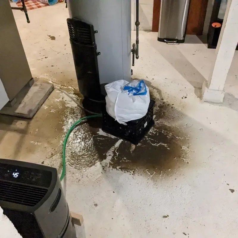 Sewage Backup Cleanup Service in Rapids, NY